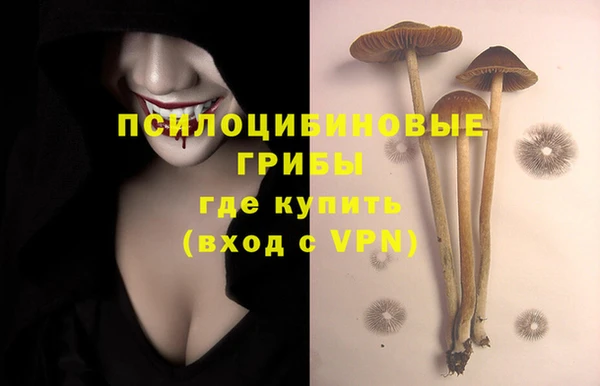 марки nbome Осинники