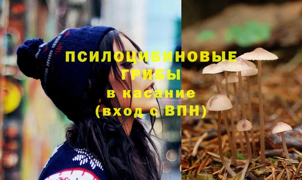 марки nbome Осинники
