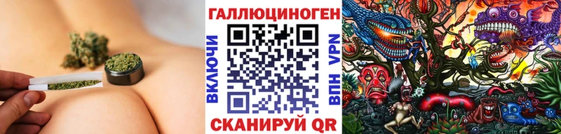 kraken tor Белый Галлюциногенные грибы Cubensis купить наркотики цена